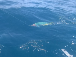 Hooked On Fishing In Morehead City, NC